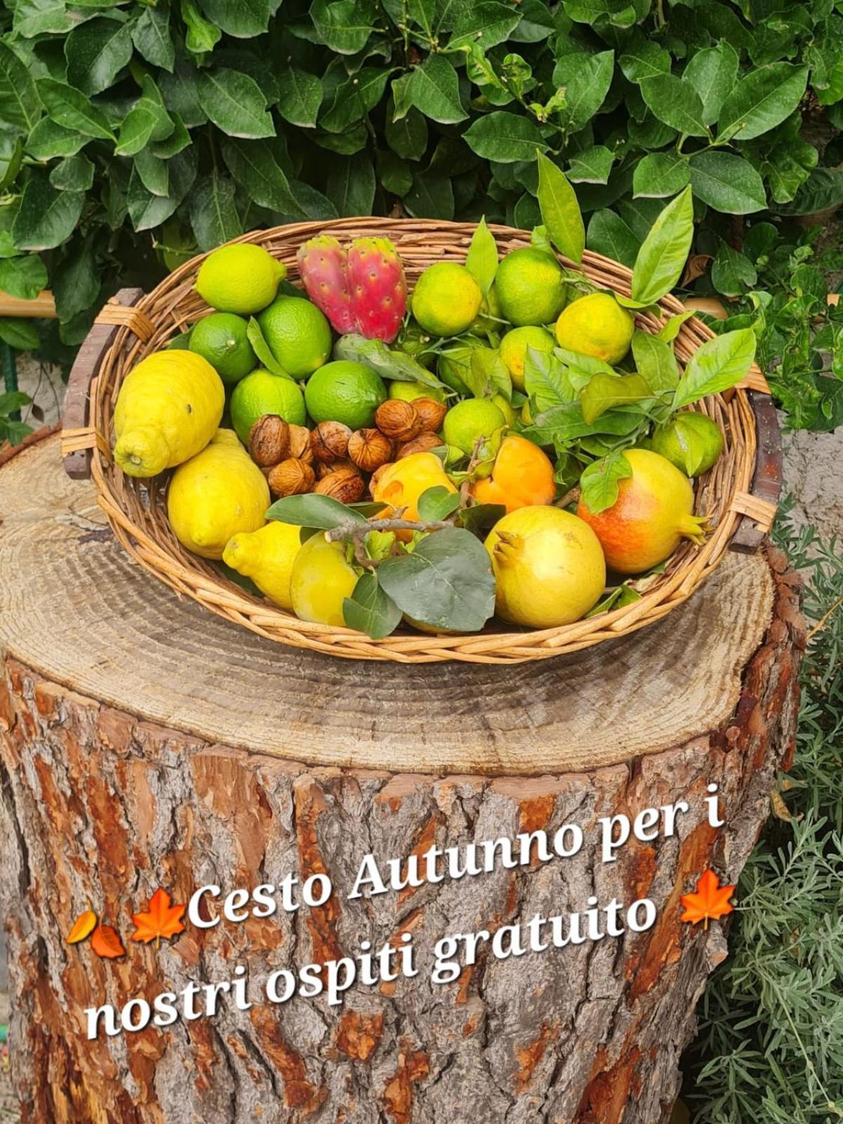 B&B Casa Vacanza Cioffi ヴィーコ・エクエンセ エクステリア 写真