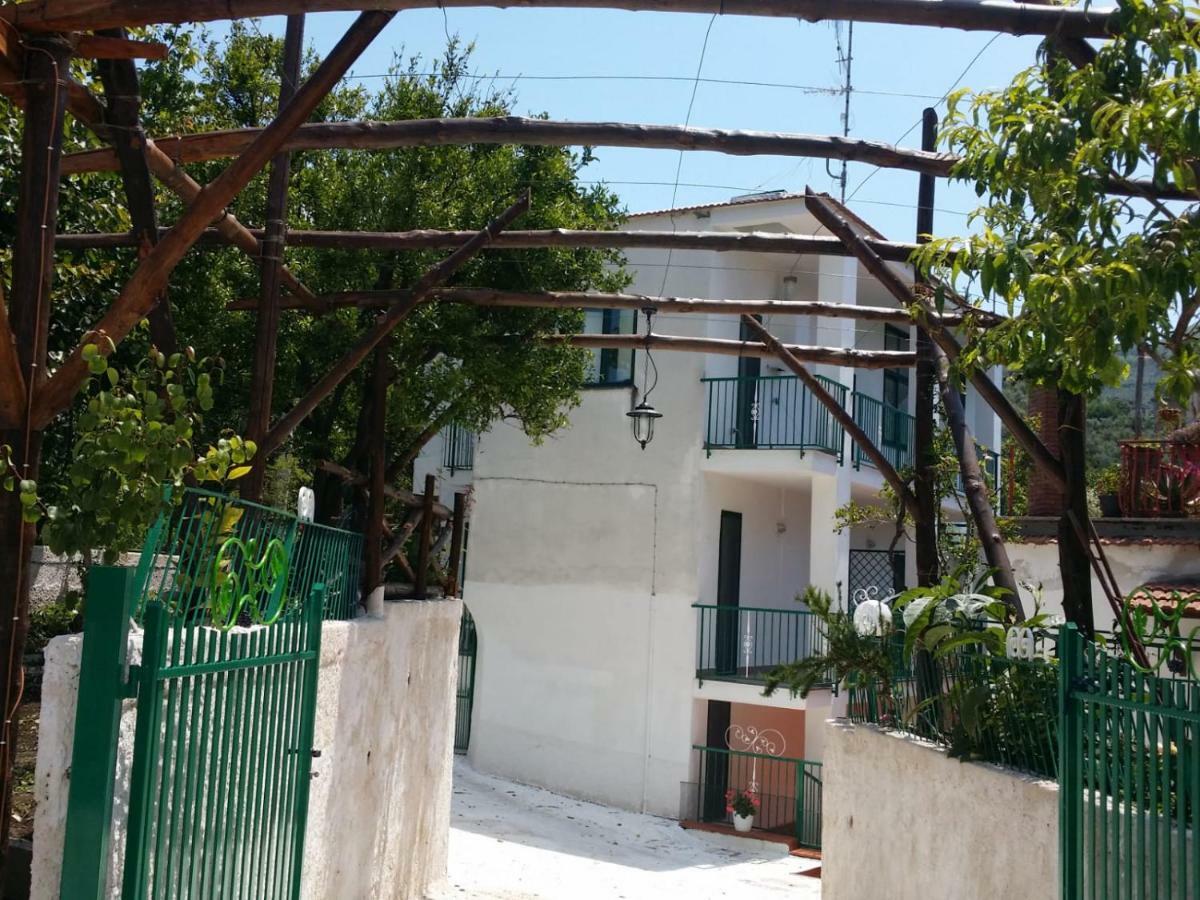 B&B Casa Vacanza Cioffi ヴィーコ・エクエンセ エクステリア 写真