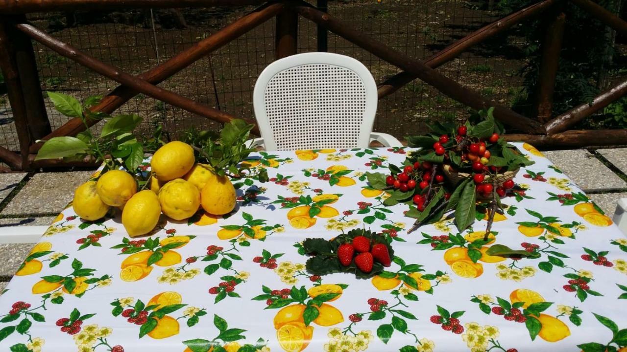 B&B Casa Vacanza Cioffi ヴィーコ・エクエンセ エクステリア 写真